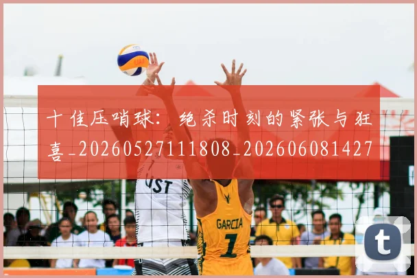 十佳压哨球：绝杀时刻的紧张与狂喜_20260527111808_20260608142720