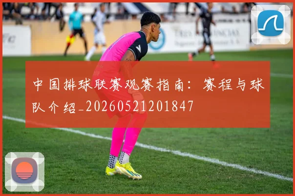 中国排球联赛观赛指南：赛程与球队介绍_20260521201847